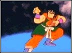 Tecnica speciale di Yamcha che simula l'attacco di un lupo e assesta al proprio avversario una serie di colpi in rapida successione. Successivamente Yamcha migliora questa tecnica nello Shin Rogafufuken. In Italia sopranominata anche tecnica della Zanne di lupo. 