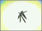 Questa é una tecnica difensiva, potenziando il proprio KI (aura dell'anima) viene elevata una barriera che protegge dai più comuni attacchi energetici. 